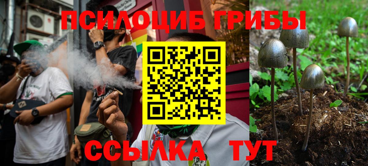 Псилоцибиновые грибы GOLDEN TEACHER  Вход с VPN  Псилоцибиновые грибы Psilocybine cubensis  Ахтубинск 