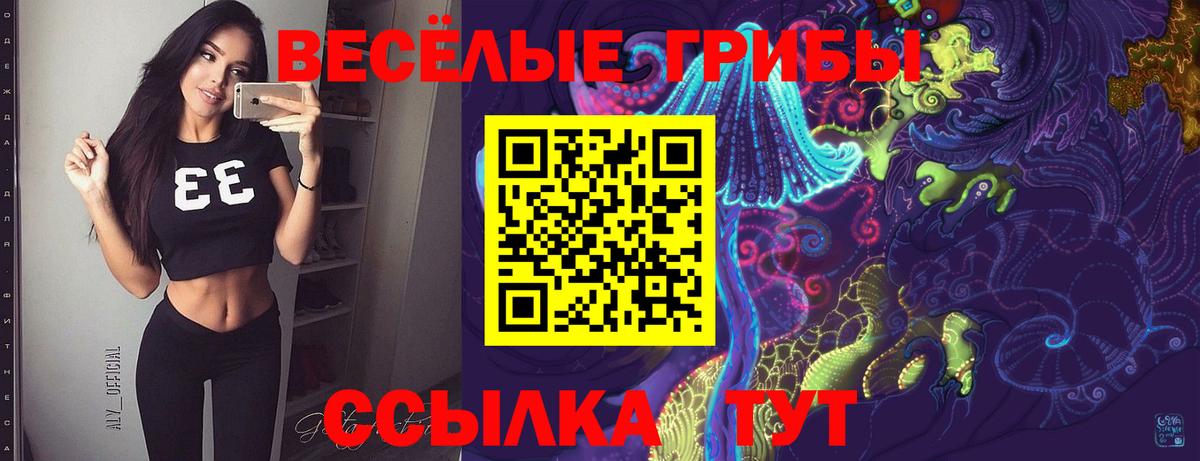 Псилоцибиновые грибы Psilocybe Ахтубинск